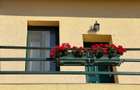 Business la cheie - Proprietate tip pensiune cu rating 9,8/10 Booking - 14