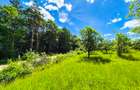 Teren intravilan   Cotmeana Arges - 8