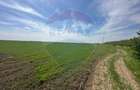 Teren 138.104 mp Dragomiresti-Vale, Ilfov, langa A0 - 6
