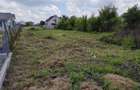 Teren de vanzare aproape de Muzeul Satului Banatean - Giarmata Vii - 5