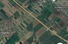Teren intravilan de vanzare in Domnesti, sat Teghes - 2
