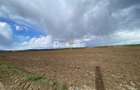 Teren de vanzare Dumbrava Rosie 20.000 Euro 900mp - 14