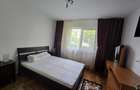 Apartament cu trei camere zona Negoiu Fagaras - 9