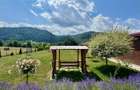 Refugiu pretios:jacuzzi, lemn masiv,2.000 mp teren,4 dormitoare, cuptor, investi - 21