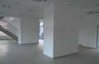 REC0000626 Spatiu showroom PARTER si MEZANIN - 4