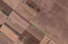 Teren Extravilan In Rate Primaverii Com. Berceni | 2670mp | #EG52 - 1