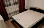 2 Camere Decomandat Renovat Piata Resita - 4