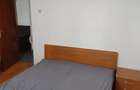 Apartament cu doua camere Nicolina - 4