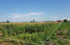 TEREN INDUSTRIAL CU PUZ | 5,2 HA | BORS - ORADEA - 3
