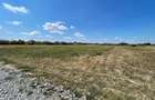 TEREN | 1391MP | SANMARTIN | BIHOR - 1