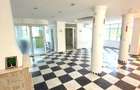 Vila spatioasa Baneasa | 320 mp utili | Ideal birouri/clinic | Curte - 2