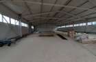 Hale cu suprafete intre 100-400mp in zona Drumul Intre Tarlale - 5