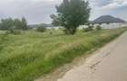 Teren 5.000 mp | Tămăși – Corbeanca | Lângă Pădure | Utilități - 2