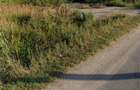 Teren intravilan 2171 mp Cateasca Arges, deschidere 49 ml - 1