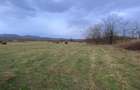 Caransebes, Teren Drept 5087 Mp. Ideal pt Casa 20 Euro Mp. Racovita - 5