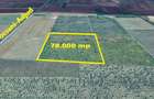 Teren Extravilan 78.000 mp Centura Noua FOCSANI - 2