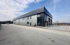 Hala industriala nouă ,499 mp construiti, zona Rudeni-Chitila, Centura Vest - 4