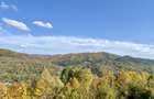 Teren panoramic retras, cu panta lina, utilități si livada - 3