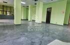 Spatiu birouri sau comercial in localitatea Pancota - 2
