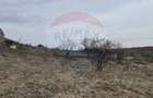 Teren intravilan 2307 mp în Salicea, zona premium, aproape de Cluj - 16