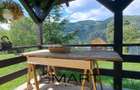 Vila 522 mp 10 Camere Simon/Bran - 2