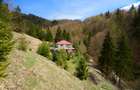 Casa Dambovicioara - CASA de vacanta sau PENSIUNE profitabila - 10