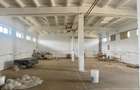 Hala industriala, 302 mp, zona Sannicolaul Mic - 2