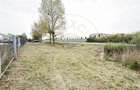 Teren Intravilan 1300 mp / Extravilan 3.700 mp/ DJ 196B Carei (DN 1F) – Foieni - 8