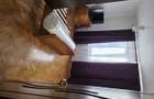 DE INCHIRIAT | APARTAMENT 2 CAMERE | PAJURA - 5