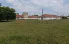 Ferma complet utilată – 30 ha teren comasat cu 11.500mp grajduri renovate Timiș - 4