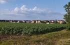 SE VINDE TEREN 5000 MP INTRAVILAN, MIXT CU DESCHIDERE LA DJ101 DE 42m - 3