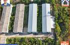Hale de inchiriat in 1 Decembrie Ilfov | NILS Imobiliare - 3