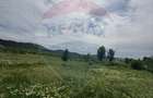 Teren 11,000mp Hinova / DN DN56A - 2