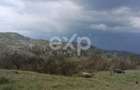 Teren extravilan de vânzare Tigveni | 4.944 mp | Panoramă superbă - 1