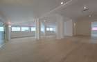 Vila recent renovata Dorobanti - 9