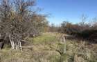 Teren zona linistita, padure la 11 km de Pitesti - 1