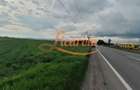Teren Stupini Calea Feldioarei 11800 mp,25 euro/mp, front asfalt-DN13 - 4