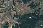 Padure de foioase 35.550MP, acces din loc. Romanasi 5km, jud. Salaj - 2