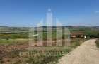 Teren intravilan | De vanzare | 1400 mp | Micesti - 4