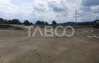 Teren si hala 42.000 mp + zona administrativa la 7 minute de Fagaras - 9