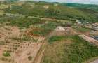 Teren intravilan 1,163mp de vânzare în Săldabagiu De Munte - 9