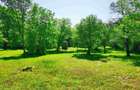 Teren intravilan Talea situat in mijlocul naturii ! - 7
