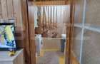 Casă zonă ultracentrală, curte comună, 50 mp, cu loc de parcare - 7