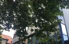 REC3000152 Cladire birouri Victoriei - Banu Manta - 5