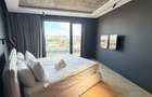 Inchiriere Penthouse de Lux cu 4 camere ,Centru, terasa 200mp - 19