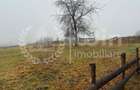 Teren intravilan ideal pentru investitie 1716mp | Front 38m | Marisel - 4