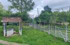 VANZARE CASA | TEREN 2.500 MP | LIVADA SI GRADINA | COMUNA BEUCA, TELEORMAN - 5