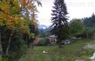 Investitie Premium Sinaia teren Intravilan exclusivist , zona Furnica - 1