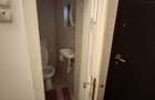 Apartament la casa cu gradina de 480 mp, Zona Semicentrala - 16