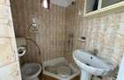 Casa, D+P+1+M , 240 mp, Cartier Valea Rosie, Zona Liceul Traian Vuia - 17